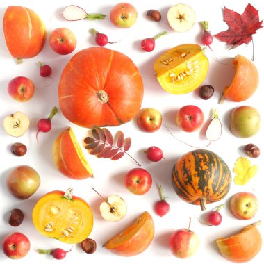 kabak, elma ve beyaz arka plan üzerinde izole renkli yaprakları sonbahar dizi yakın çekim fotoğraf