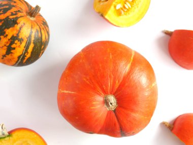 renkli balkabağı beyaz arka plan üzerinde izole sonbahar dizi yakın çekim fotoğraf