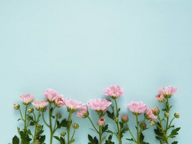 Mavi arka plan üzerinde pembe çiçekler doku deseninin güzel çiçekleri