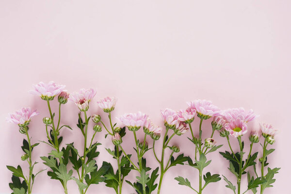 photo of Beautiful blossoms of pink flowers texture pattern on pink background