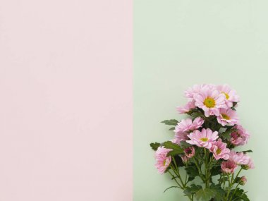 Güzel çiçekleri pembe çiçekler doku deseninin renkli arka plan üzerinde fotoğraf