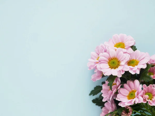 Hermosas Flores Flores Rosadas Patrón Textura Sobre Fondo Azul — Foto de Stock