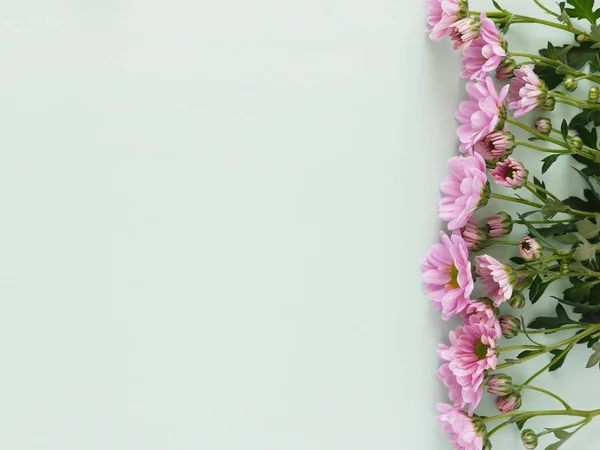Foto Hermosas Flores Flores Rosadas Patrón Textura Sobre Fondo Verde —  Fotos de Stock