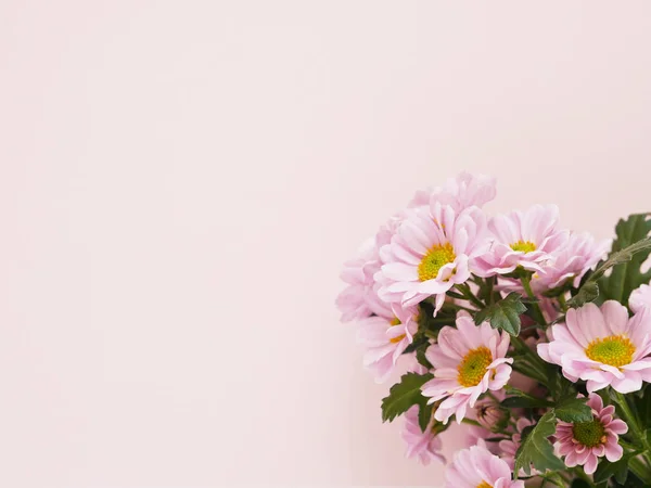 Foto Hermosas Flores Flores Rosadas Patrón Textura Sobre Fondo Rosa —  Fotos de Stock