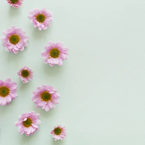 Φωτογραφία Όμορφα Άνθη Της Ροζ Λουλούδια Μοτίβο Υφής Πράσινο Φόντο — Φωτογραφία Αρχείου