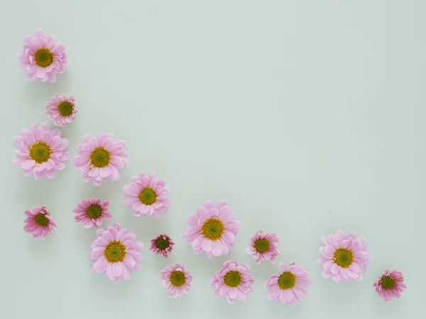 Foto Hermosas Flores Gerberas Rosadas Flores Patrón Textura Sobre Fondo —  Fotos de Stock