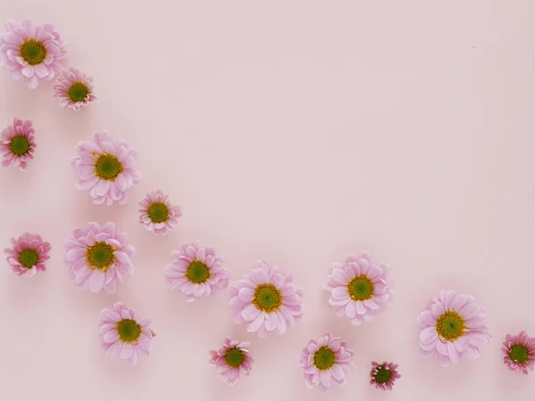 Foto Hermosas Flores Gerberas Rosadas Flores Patrón Textura Sobre Fondo —  Fotos de Stock