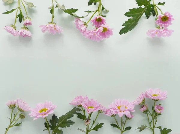 Marco Hecho Hermosas Flores Crisantemo Flor — Foto de Stock