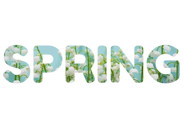 Mooie Moderne Belettering Voorjaar Versierd Met Bladeren Bloesem Bloemen Witte — Stockfoto