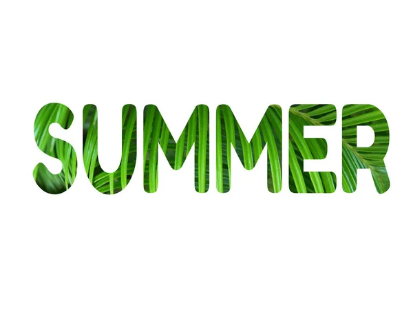 美丽的现代字母夏季装饰着绿色的青草与白色背景 — 图库照片