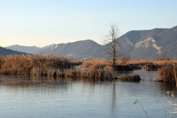Lake Iseo Brescia Lombardy Talya Donmuş Bataklıkları Nadir Olgusu — Stok fotoğraf