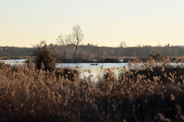 Lake Iseo - Brescia donmuş bataklıkları nadir olgusu - 