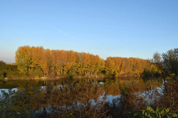 Reflexões de Outono sobre o Rio Pó — Fotografia de Stock