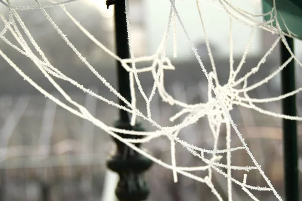 An icy web like a pearl necklace