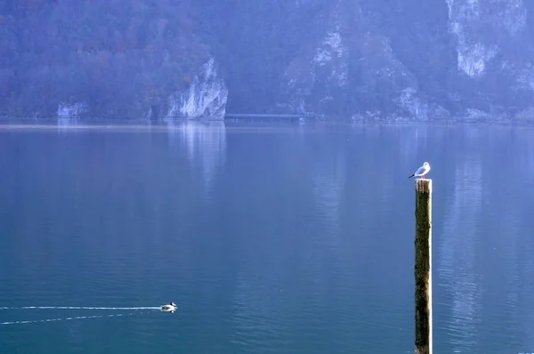 Gli ultimi raggi di sole autunnale sul Lago d'Idro - Brescia - Italia — Foto Stock