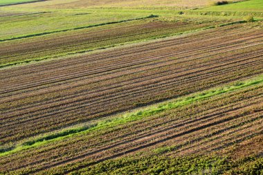 Po Vadisi'nde - İtalya 12 kırsal manzara