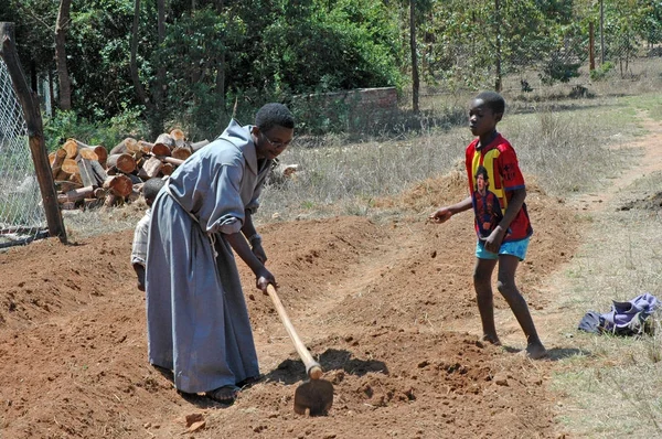 European volunteers for self-sustaining food in the Village of P — Stock Photo, Image