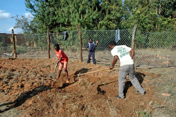 European volunteers for self-sustaining food in the Village of P — Stock Photo, Image