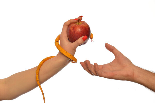 Метафора символизма Адама и Евы 005
