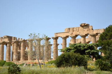 Agrigento - İtalya 05 tapınakları Vadisi