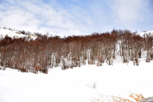 Die hohen Berge der Abruzzen mit Schnee gefüllt 0013 — Stockfoto