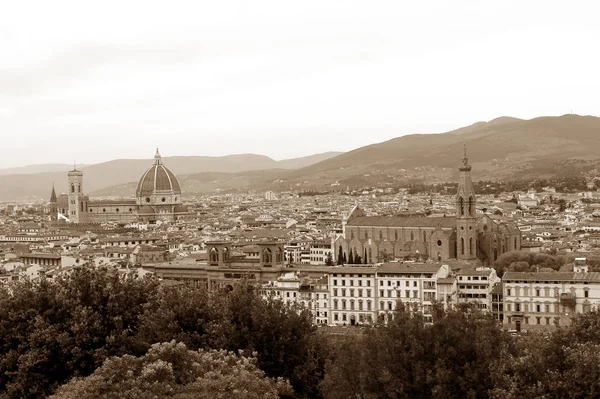 Histoire, art et culture de la ville de Florence - Italie 001 — Photo