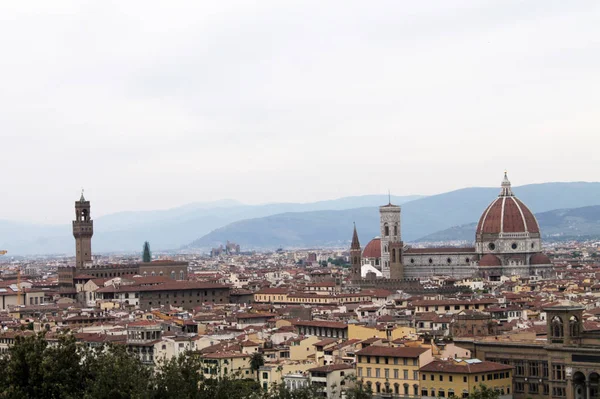 Maravilloso Panorama Artístico Histórico Ciudad Florencia Italia — Foto de Stock