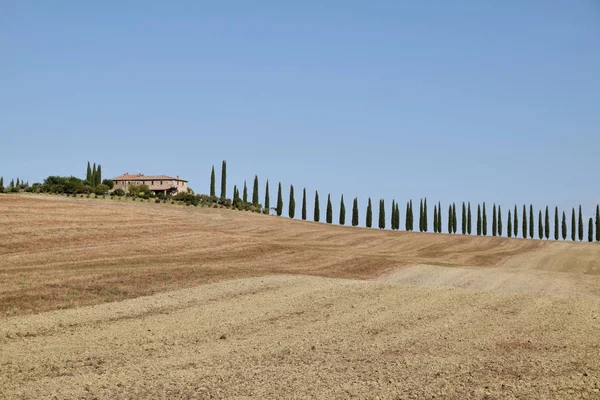 Ein typischer Blick auf eine charakteristische toskanische Landschaft - die Toskana — Stockfoto