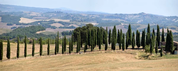 La bellezza armoniosa delle colline senesi in Toscana-Italia — Foto Stock