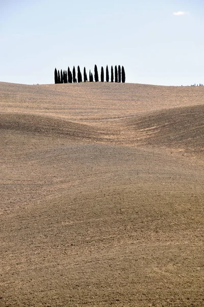 Cypresser över Sienesebergen i Toscana-Italien — Stockfoto