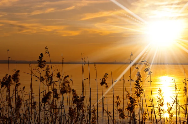 Coucher de soleil au lac de Garde - Veneto Italie — Photo