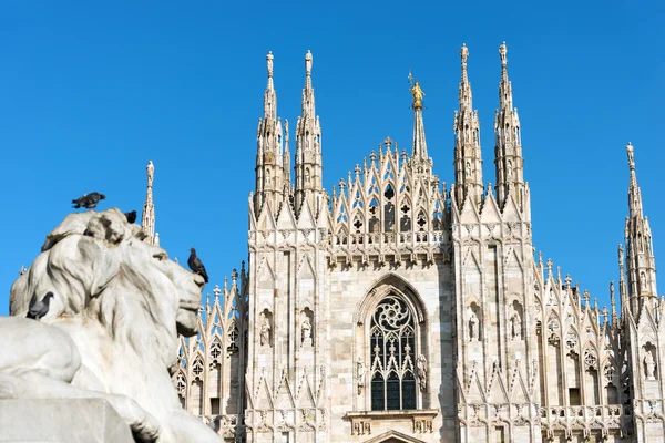 Duomo di Milano - Milano Katedrali'ne - İtalya — Stok fotoğraf