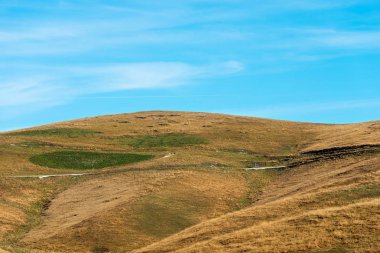 Sonbahar - Lessinia Yaylası İtalya otlaklarda