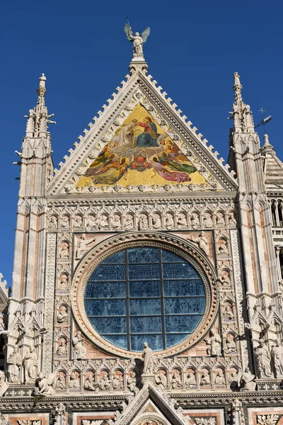 Detail van de kathedraal van Siena - Toscane Italie — Stockfoto