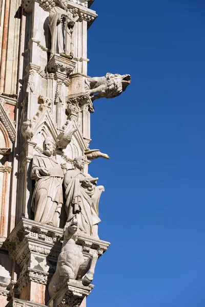 Detail van de kathedraal van Siena - Toscane Italie — Stockfoto