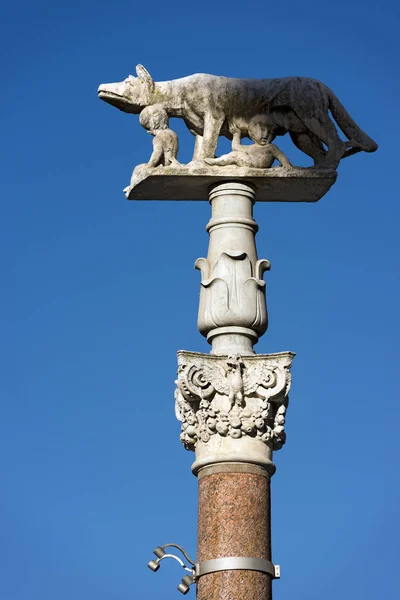 Lupa Senese - Symbol Siena, Włochy — Zdjęcie stockowe