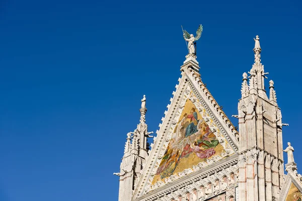 Λεπτομέρεια του Καθεδρικός Ναός της Σιένα - Τοσκάνη Ιταλία — Φωτογραφία Αρχείου