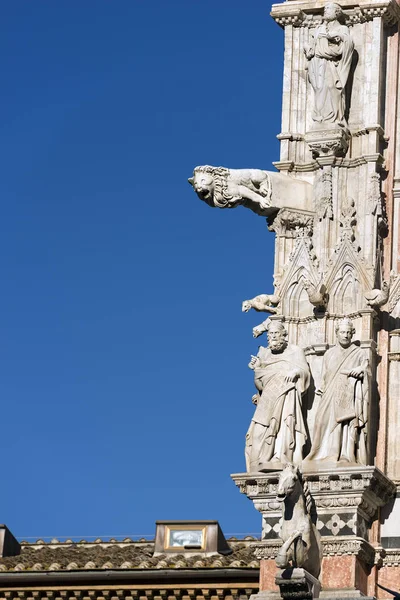 Detail of Siena Cathedral - Tuscany Italy — Stock Photo, Image