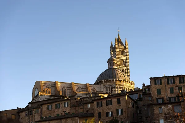 Kathedraal van Siena in de avond - Toscane Italie — Stockfoto