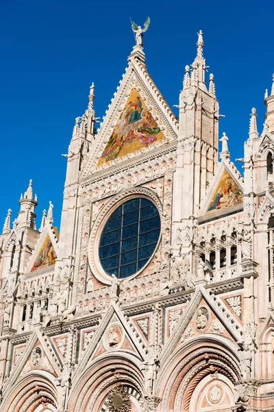 Detalj av Sienas katedral - Toscana Italien — Stockfoto