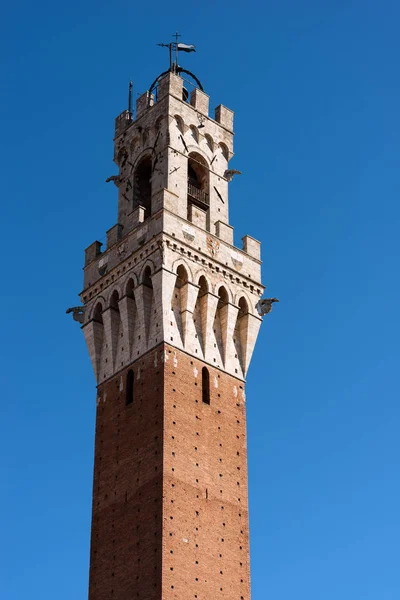 Torre del Mangia - Siena Toscana Italy — Stock fotografie