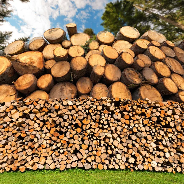 Drewno kominkowe dzienniki - pnie drzew - lasu — Zdjęcie stockowe