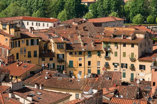 Piazza Anfiteatro - Lucca Toscana Italien — Stockfoto