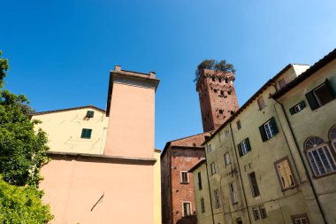 Guinigi Tower - Lucca Toskana İtalya