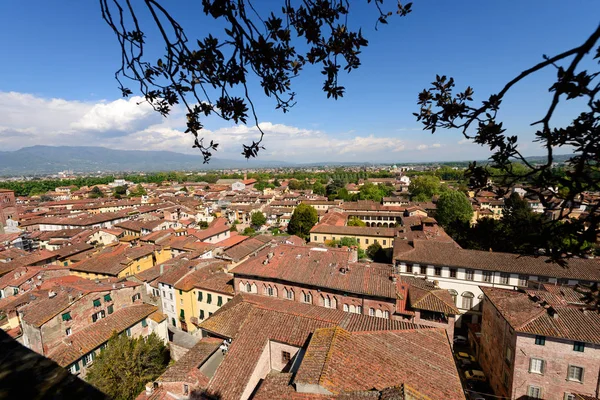 Aerial View of Lucca - Tuscany Italy — Stock Photo, Image