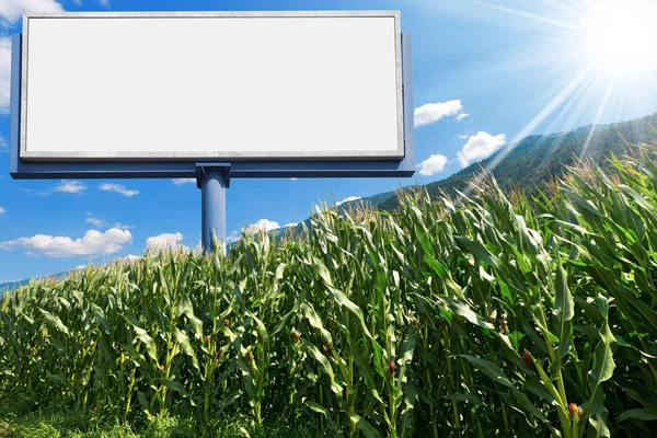 Billboard vazia em um campo de milho — Fotografia de Stock