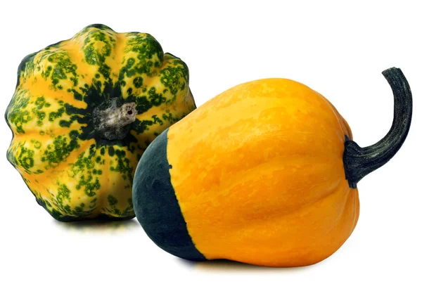 iki dekoratif kabak üzerine beyaz izole