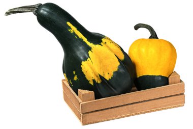 İki Pumpkins ile ahşap sandık