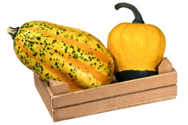 İki Pumpkins ile ahşap sandık
