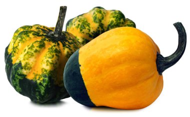 Beyaz izole üç dekoratif kabaklar